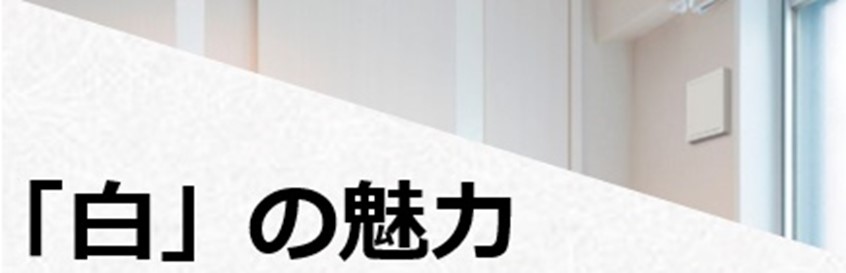 ホワイトカラー商品